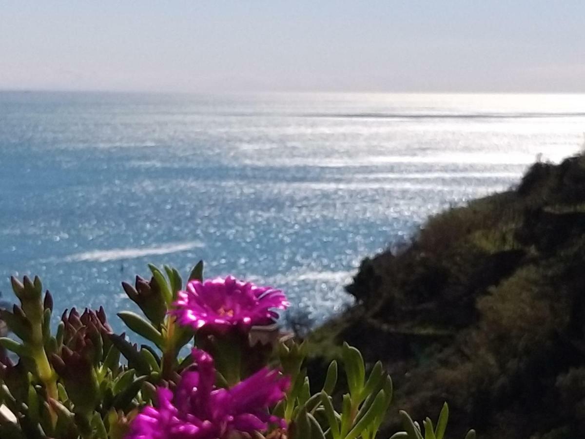 Suite Riomaggiore Exteriör bild